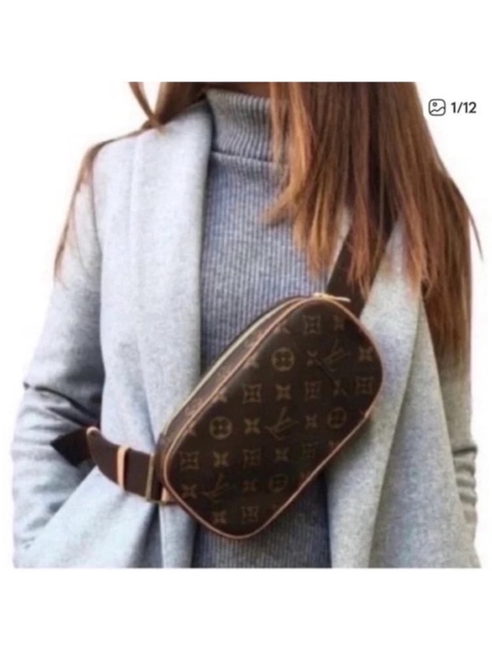 Louis Vuitton Handbags - Authentic Louis Vuitton Pochette gange bum belt mini bag
